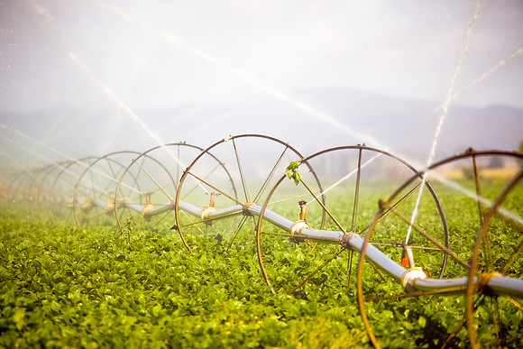 Agriculture